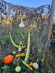 tourville-sur-arques (23)